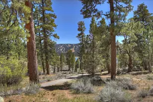 4 Lakeview Track, Fawnskin, CA 92333 - Photo 42