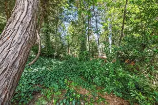 768 Deer, Crestline, CA 92325 - Photo 26