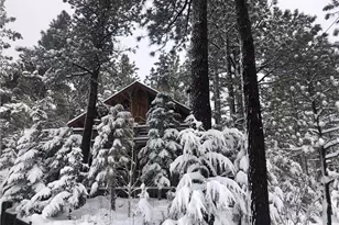 845 Menlo, Big Bear Lake, CA 92315 - Photo 28