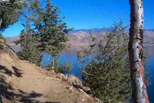 11667 Hwy 178, Mountain Mesa, CA 93240 - Photo 24