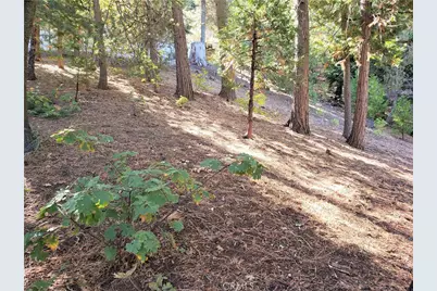330 Castle Gate Road, Lake Arrowhead, CA 92352 - Photo 8