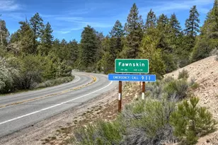 22 Polique Canyon, Fawnskin, CA 92333 - Photo 42