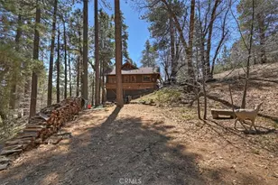 22 Polique Canyon, Fawnskin, CA 92333 - Photo 36