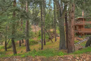 2358 Rim Of The World, Running Springs, CA 92382 - Photo 34
