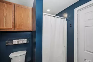 521 Fir Dr, Green Valley Lake, CA 92341 - Photo 20