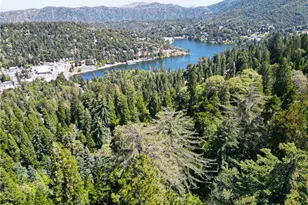 24091 Lakeview, Crestline, CA 92325 - Photo 36