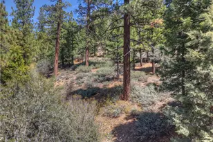 1099 Canyon, Fawnskin, CA 92333 - Photo 26