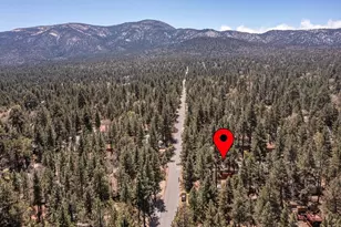 44844 Manzanita Ln, Sugarloaf, CA 92386 - Photo 2