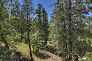 26285 Spyglass Dr, Lake Arrowhead, CA 92352 - Photo 36