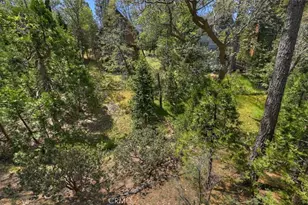 1140 Evergreen Ln, Lake Arrowhead, CA 92352 - Photo 34