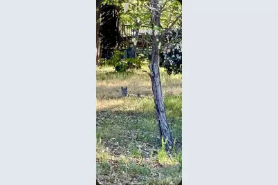 30 Park Drive, Running Springs, CA 92382 - Photo 68