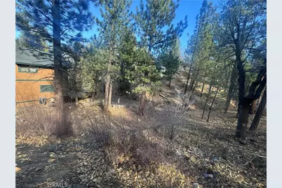899 Kern Avenue, Sugarloaf, CA 92386 - Photo 6