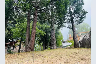 23798 Springwater Road, Crestline, CA 92325 - Photo 10