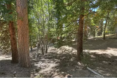 28940 Potomac, Lake Arrowhead, CA 92352 - Photo 38