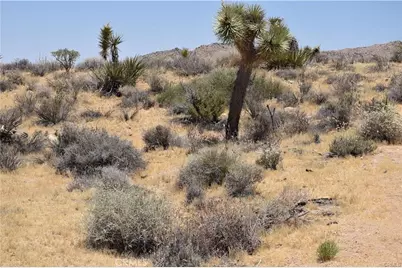 0 Palomar, Yucca Valley, CA 89121 - Photo 8