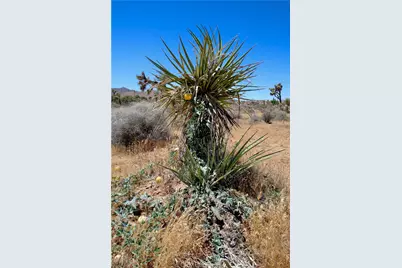 0 Palomar, Yucca Valley, CA 89121 - Photo 26