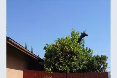 33763 Noreen, Yucaipa, CA 92399 - Photo 74