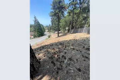 0 Live Oak Dr, Running Springs, CA 92382 - Photo 10