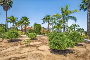 11530 Terracina Blvd, Redlands, CA 92373 - Photo 52