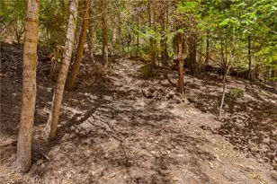 27010 State Hwy 189, Blue Jay, CA 92317 - Photo 26