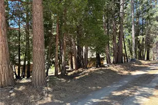 42 South Fork Trail, Angeles Oaks, CA 92305 - Photo 22