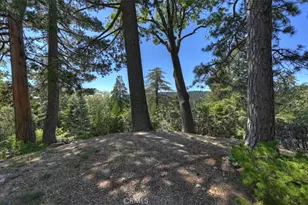248 Squirrel, Lake Arrowhead, CA 92352 - Photo 58