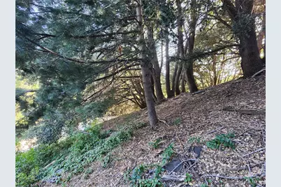 407 Delle, Crestline, CA 92325 - Photo 10