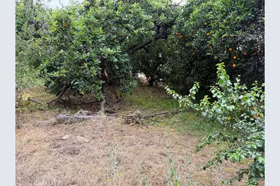 2415 Sierra, Upland, CA 91784 - Photo 24
