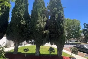22410 Flamingo, Grand Terrace, CA 92313 - Photo 6