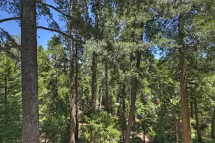 24256 Altdorf, Crestline, CA 92325 - Photo 26