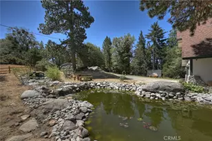 550 Coyote Trail, Cedarpines Park, CA 92325 - Photo 68