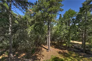550 Coyote Trail, Cedarpines Park, CA 92325 - Photo 30