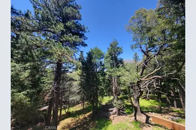 550 Coyote Trail, Cedarpines Park, CA 92325 - Photo 8