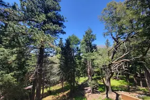 550 Coyote Trail, Cedarpines Park, CA 92325 - Photo 8