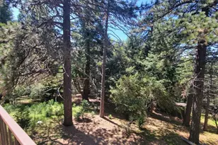 550 Coyote Trail, Cedarpines Park, CA 92325 - Photo 6