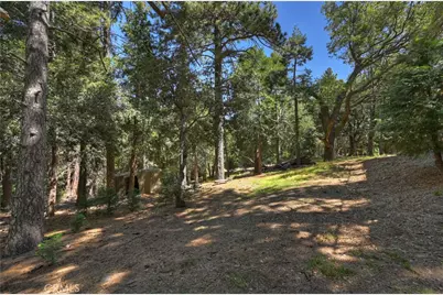 550 Coyote Trail, Cedarpines Park, CA 92325 - Photo 64