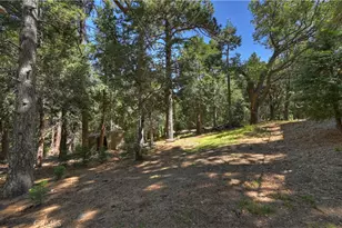 550 Coyote Trail, Cedarpines Park, CA 92325 - Photo 64