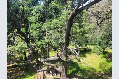550 Coyote Trail, Cedarpines Park, CA 92325 - Photo 6