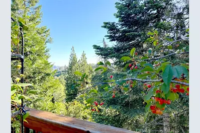 292 N Fairway, Lake Arrowhead, CA 92352 - Photo 22