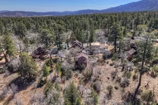 796 Orange, Sugarloaf, CA 92386 - Photo 40