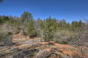 796 Orange, Sugarloaf, CA 92386 - Photo 50