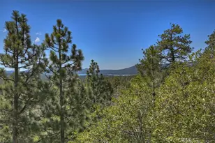 764 Menlo, Big Bear Lake, CA 92315 - Photo 30