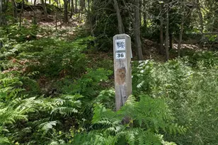 5 Mbm 5 Slip 16, Lake Arrowhead, CA 92352 - Photo 16