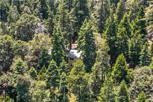24702 Nestal Ct, Crestline, CA 92325 - Photo 42