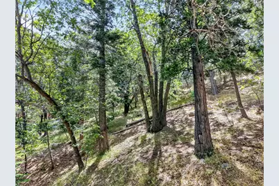 30308 Leprechaun, Running Springs, CA 92382 - Photo 18
