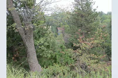 0 Ca-173, Lake Arrowhead, CA 92352 - Photo 12