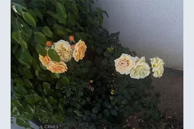 12780 Fremontia, Grand Terrace, CA 92313 - Photo 22