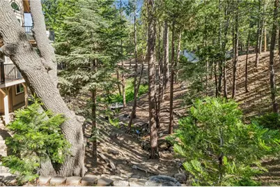 628 Grass Valley Road, Lake Arrowhead, CA 92352 - Photo 52