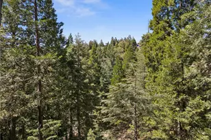 111 Grizzly, Lake Arrowhead, CA 92317 - Photo 52
