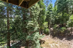 24634 Bernard Dr, Crestline, CA 92325 - Photo 24